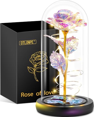 Otlonpe Glass Rose Flower - Christmas, Birthday Gifts for Women Mom Wife Girlfriend Her - Handmade Led Light Up Roses Flowers Womens Gifts for Christmas, Anniversary, Wedding, Valentines, Mothers Day