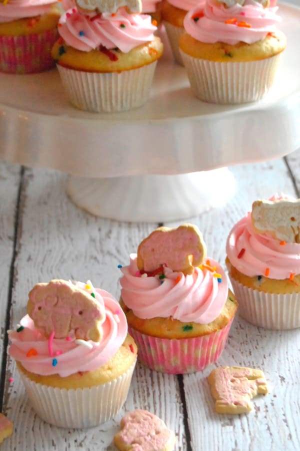 cupcake recipe ideas that are easy