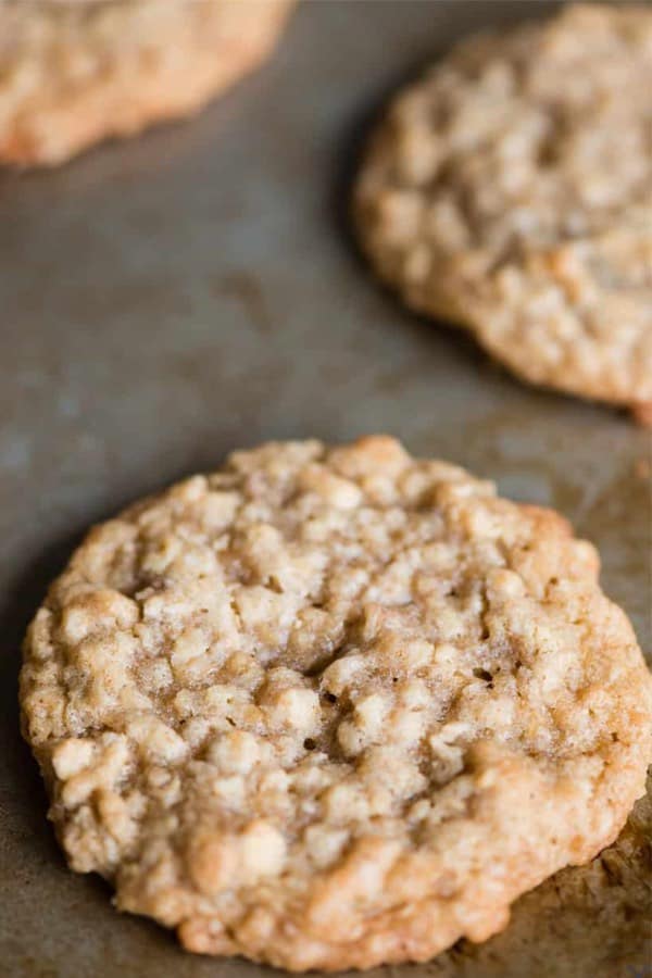 oatmeal cookie without raisins
