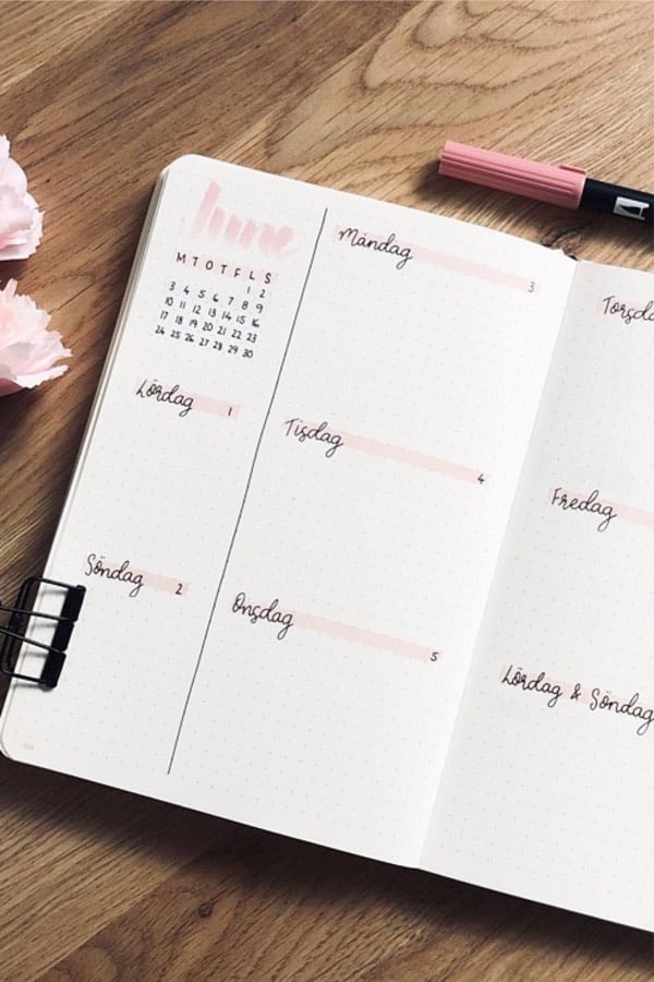 pink weekly for bullet journal