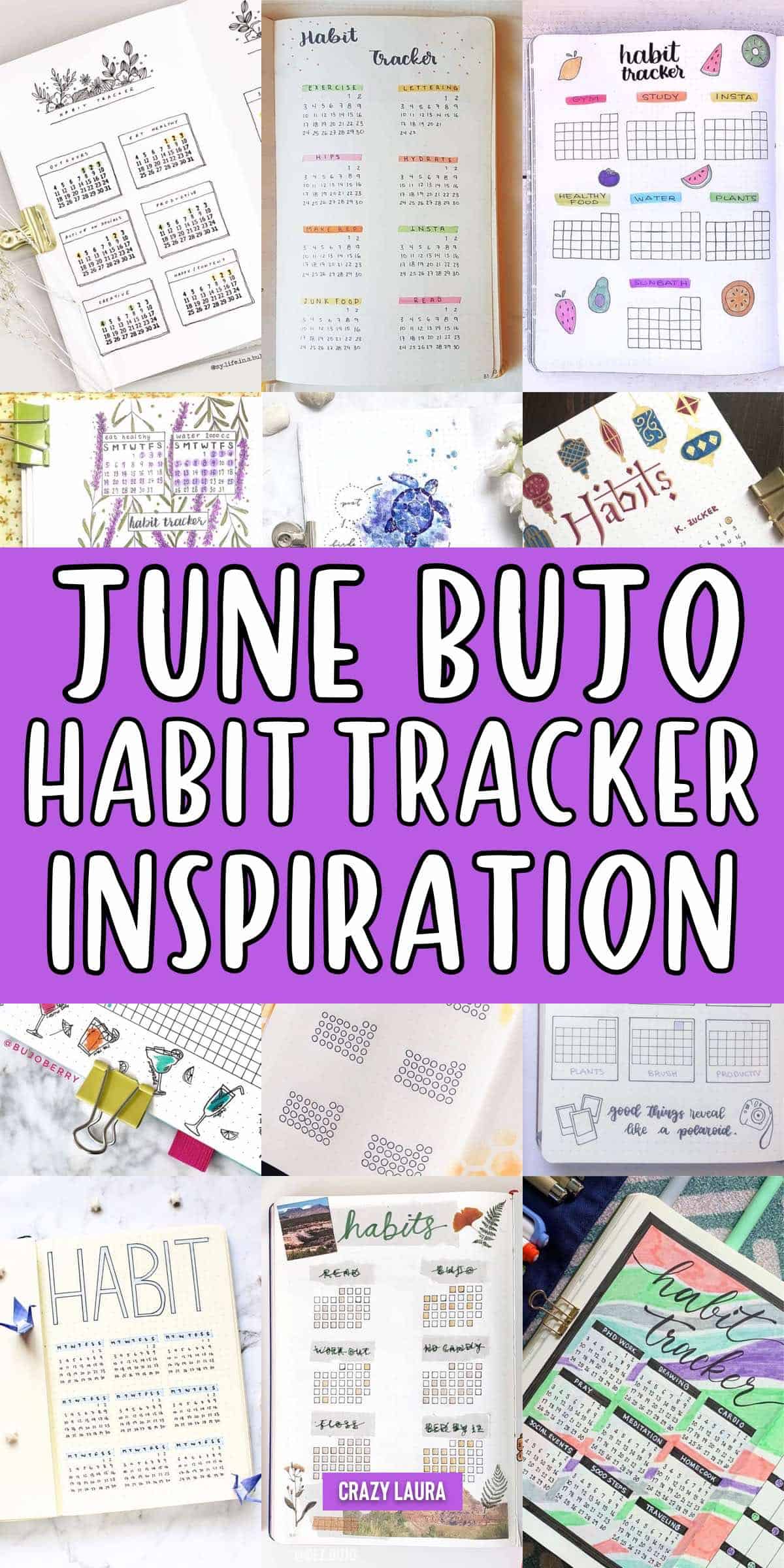 june habit tracker examples