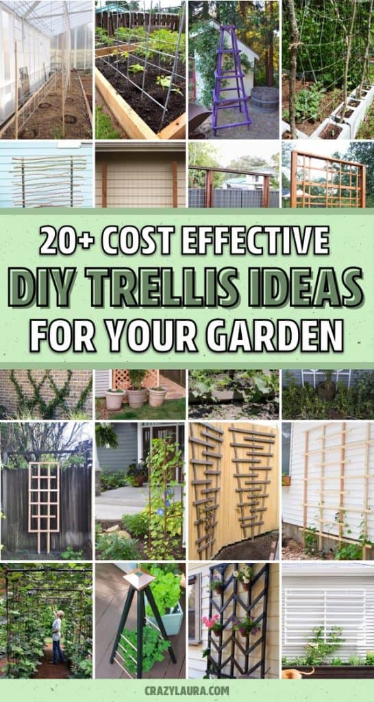 21 Best DIY Trellis Ideas For The Gardener In You