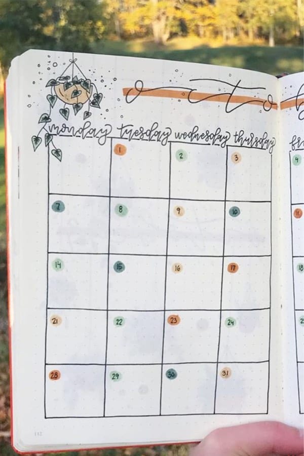 plant theme monthly log for october