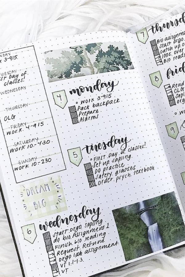 bujo layout with green accents