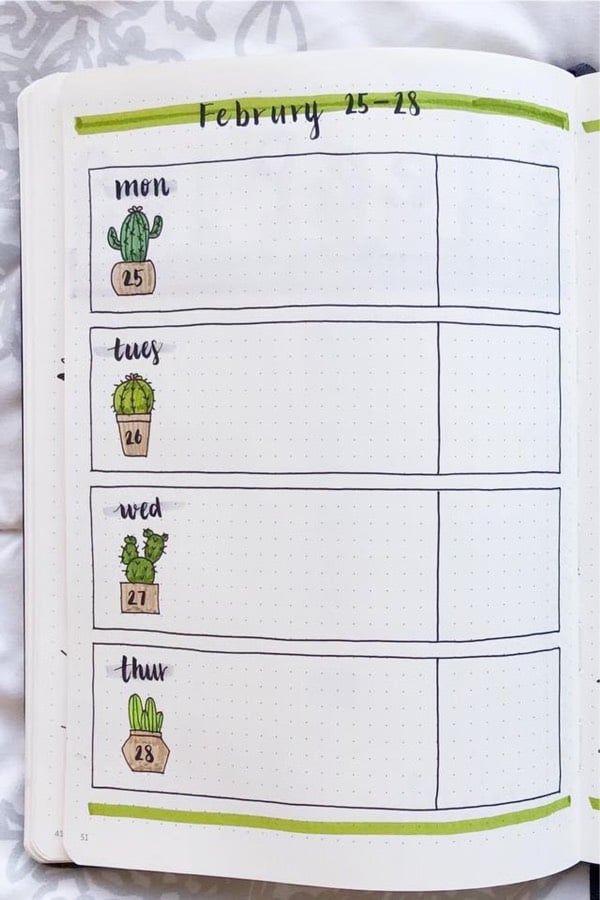 green cactus bullet journal example