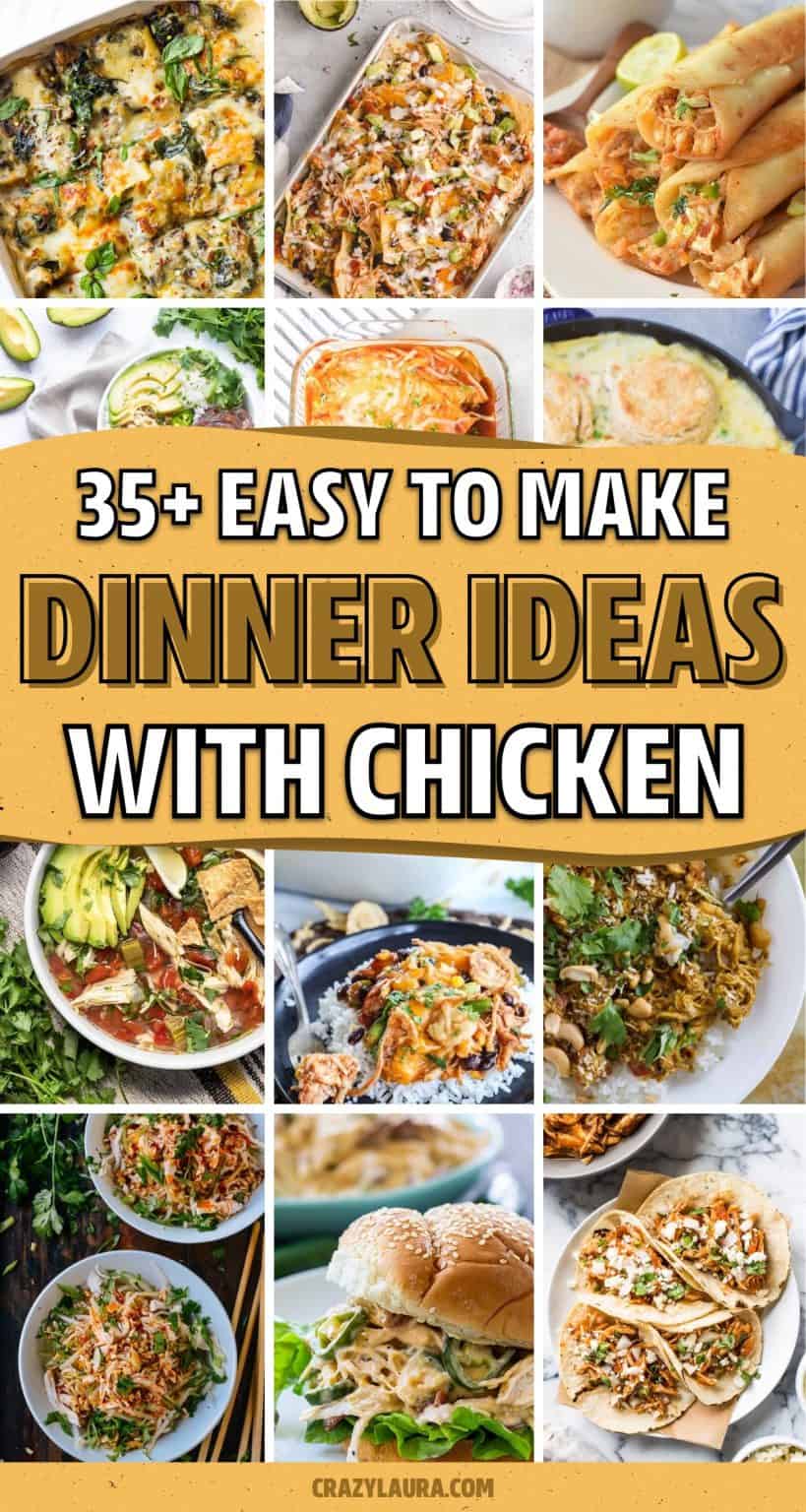 35+ Best Shredded Chicken Recipes In 2024 - Crazy Laura