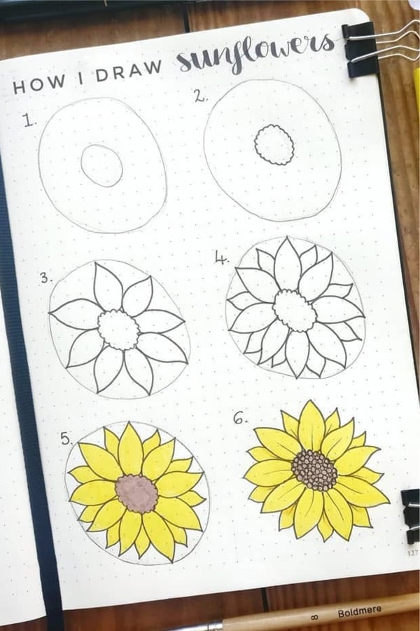 doodle tutorial for bullet journal sunflowers