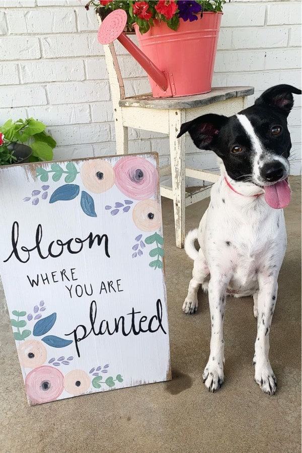 best ideas for painted wood signs