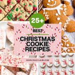 Best Ever Christmas Cookie Ideas