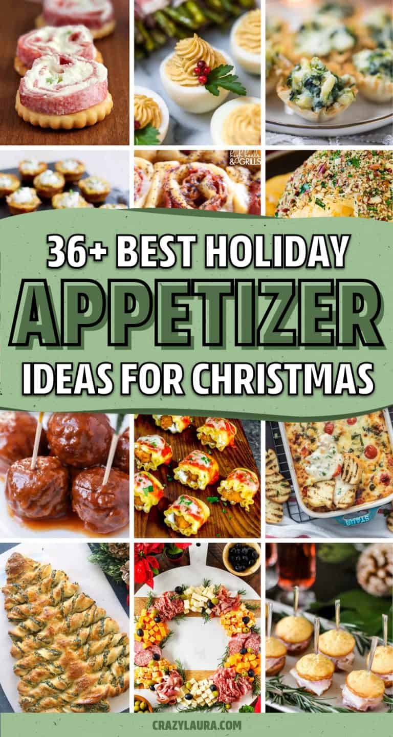 46+ Best Christmas Appetizer Recipes To Try In