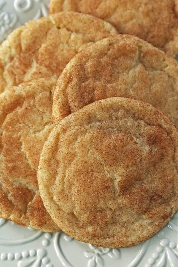 holiday snicker doodle recipe example