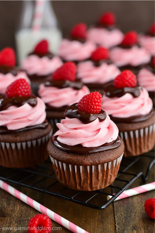 chocolate and raspberry cupcake dessert