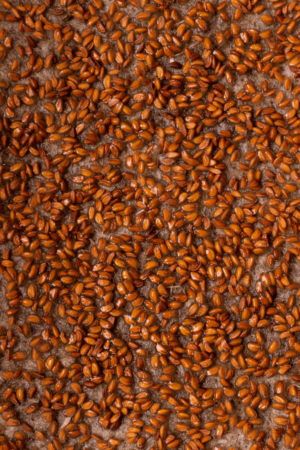 Closeup of Microgreen Seeds