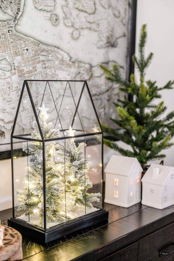 Christmas Tree Terrarium