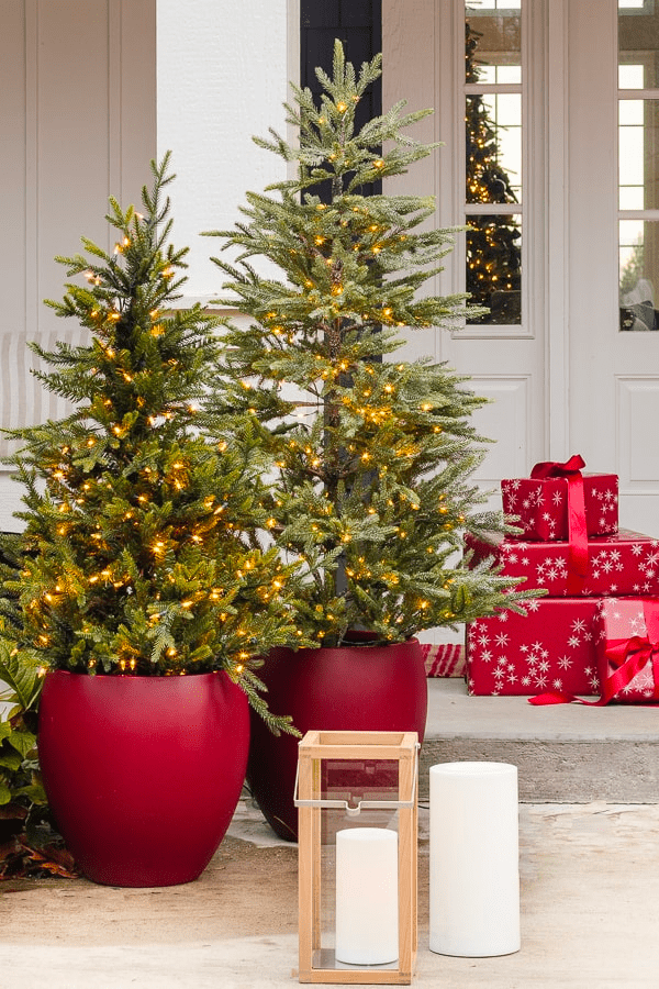 Red Planters with Mini Christmas Trees