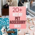 Craft Your Way to a Happier Pet with These 20+ DIYs