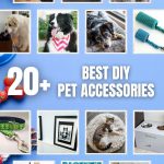 Make Your Pet's Day! Epic DIY Accessories Inside!