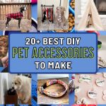 Pet Lovers Alert! 20+ Unbelievable DIY Accessories