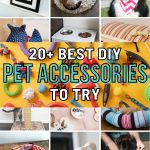 Transform Your Pet's Day! 20 Genius DIY Accessories