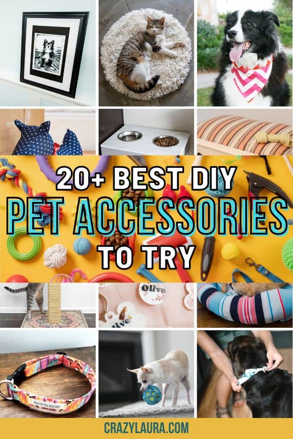 Transform Your Pet's Day! 20 Genius DIY Accessories