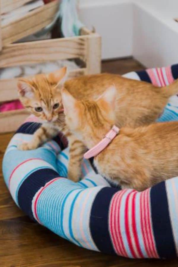 UPCYCLED SWEATER PET BED