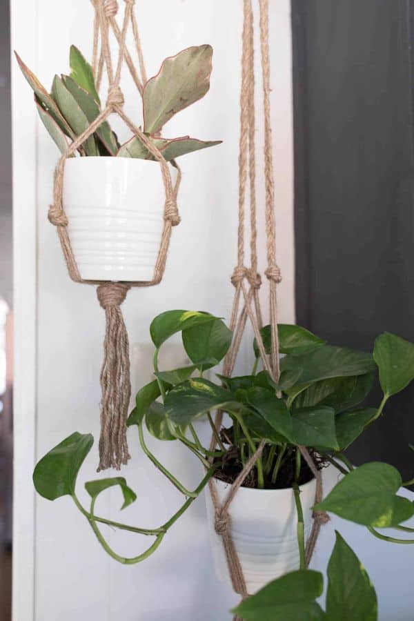 MACRAME PLANT HANGERS