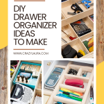 Storage Solutions 15+ DIY Drawer Organizer Ideas