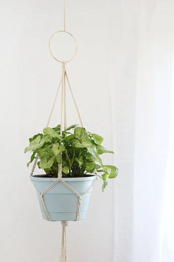 MACRAME PLANT HANGER WALL PIECE