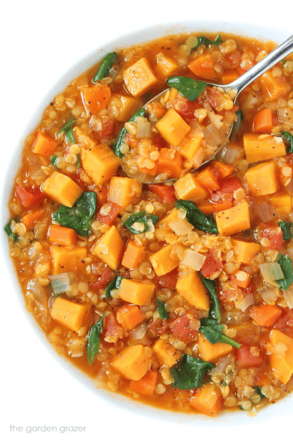 Red Lentil Stew