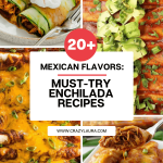 22 Must-Try Enchilada Recipes for Every Craving