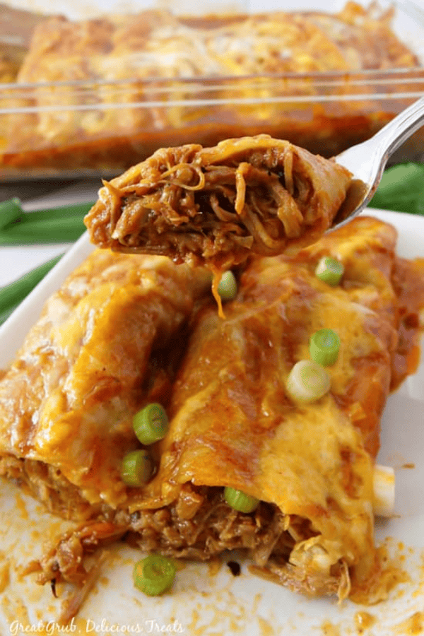 Pulled Pork Enchiladas